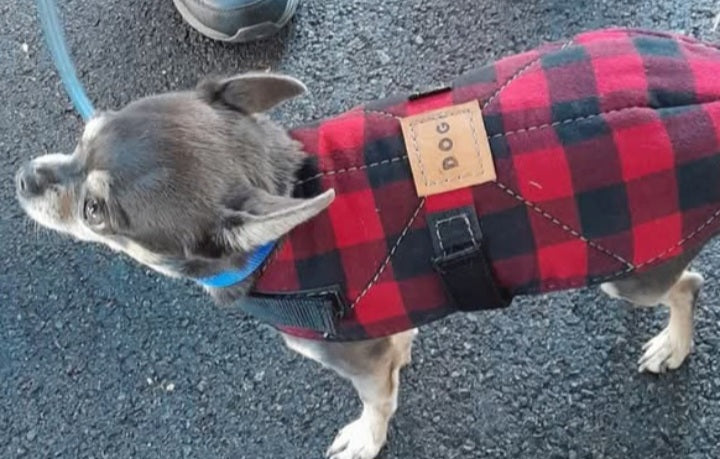 DOG COAT EXTRA SMALL