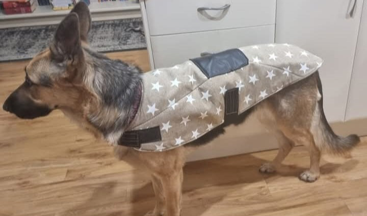 DOG COAT EXTRA LARGE 'Tough Boy'