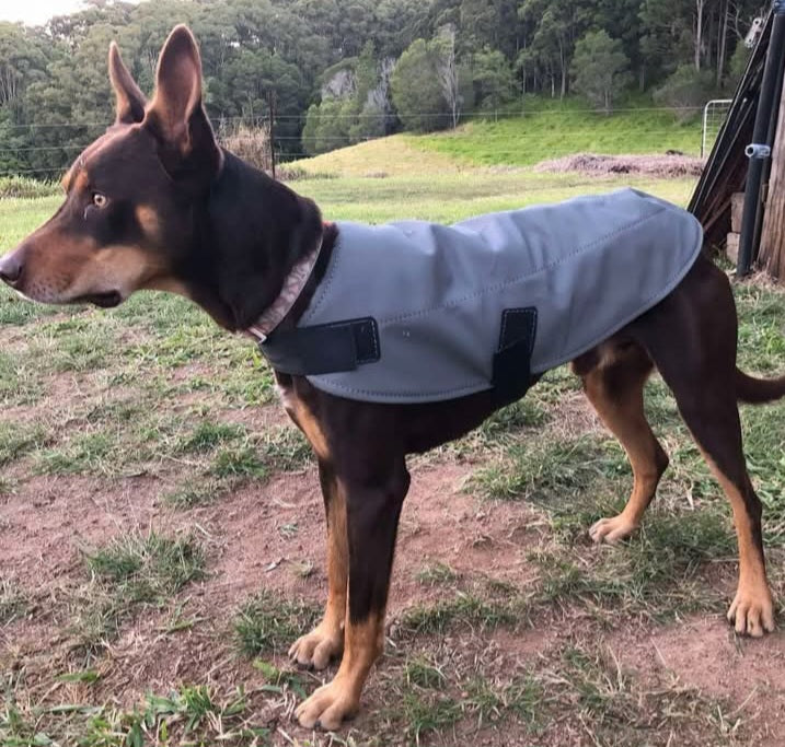 DOG COAT SIZE LARGE