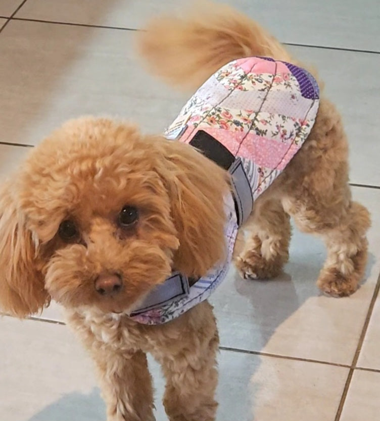 DOG COATS EXTRA SMALL (CLEARANCE)